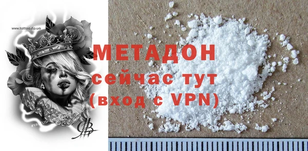 ГАЛЛЮЦИНОГЕННЫЕ ГРИБЫ Богданович