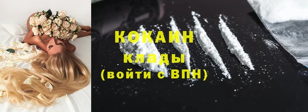 ГАЛЛЮЦИНОГЕННЫЕ ГРИБЫ Богданович