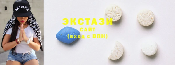 индика Богородицк