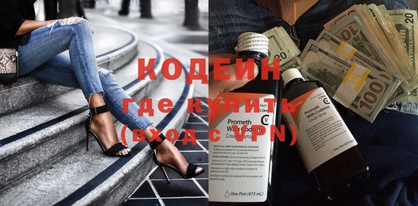 индика Богородицк