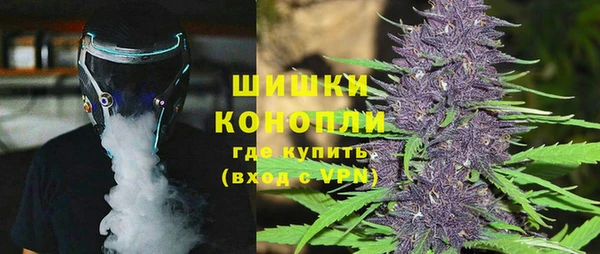 спиды Пересвет
