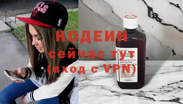индика Богородицк