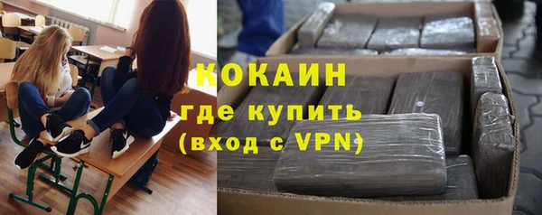 МДПВ Пестово