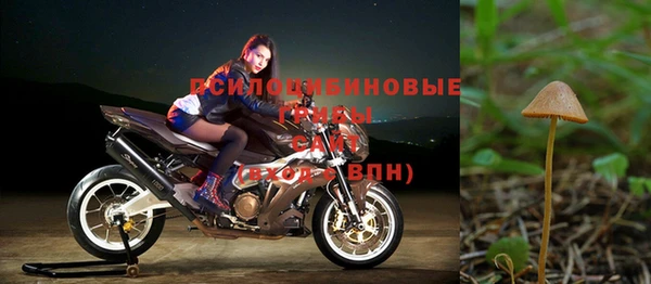 МДПВ Пестово
