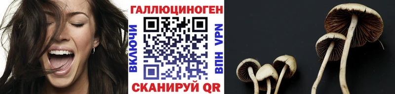 Галлюциногенные грибы Magic Shrooms  Каневская 
